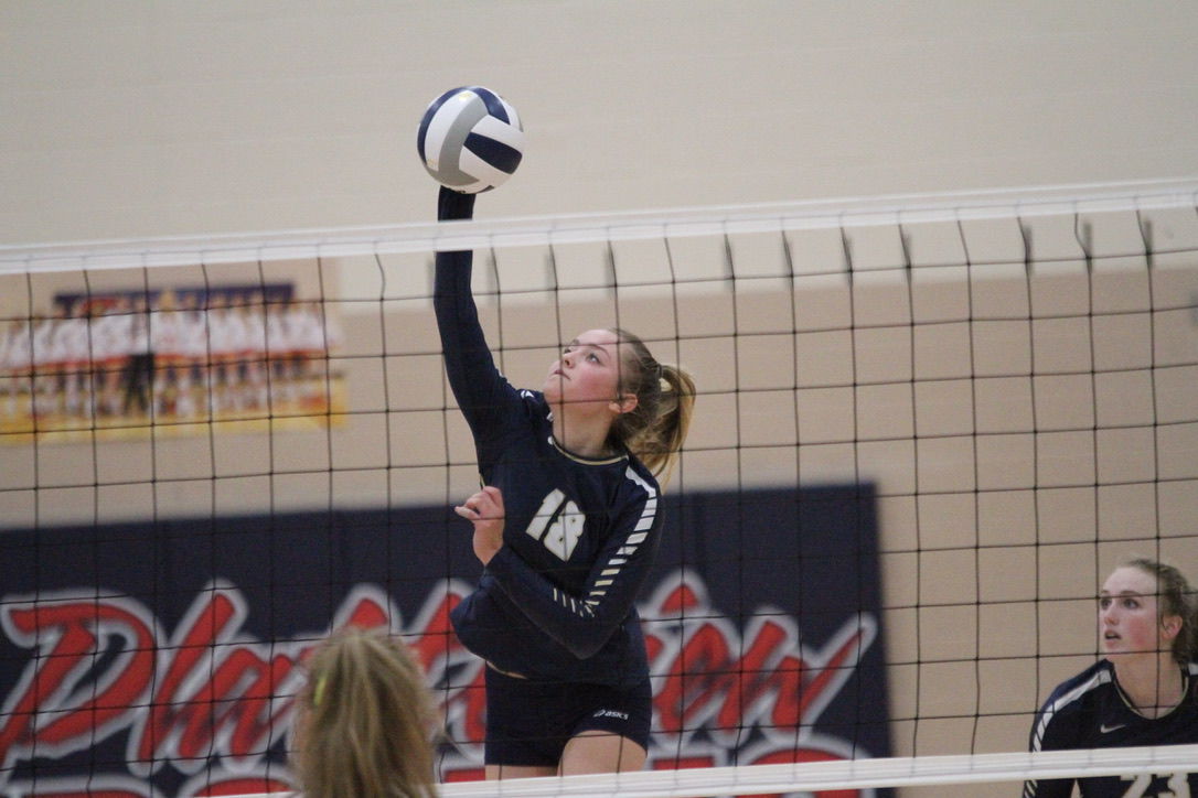 York vs. Platteview volleyball 25.jpeg